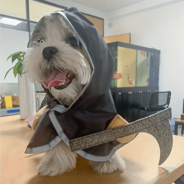 Creepy Cute Grim Reaper Pet Costume Costumes - Gothic & Alternative Gift - Haunted