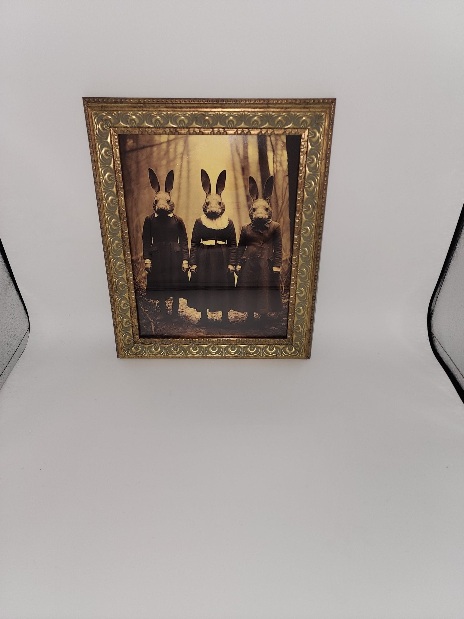 Creepy Vintage Cult Bunny Costume Framed Print Wall Hanging - Gothic & Alternative Gift - Haunted
