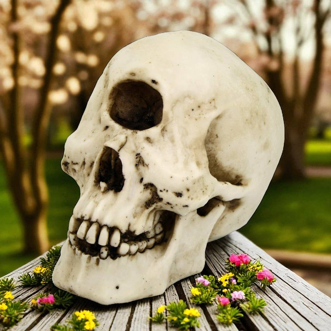 Cyclops Skull Home Decor - Gothic & Alternative Gift - Haunted