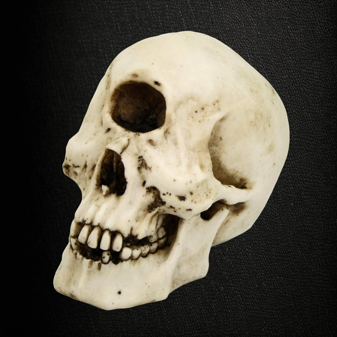 Cyclops Skull Home Decor - Gothic & Alternative Gift - Haunted