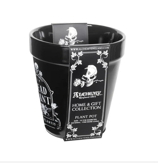 Dead Plant Thombstone Garden Plant Pot Garden Decor - Gothic & Alternative Gift - Haunted