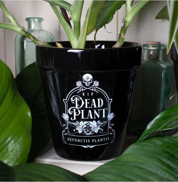 Dead Plant Thombstone Garden Plant Pot Garden Decor - Gothic & Alternative Gift - Haunted