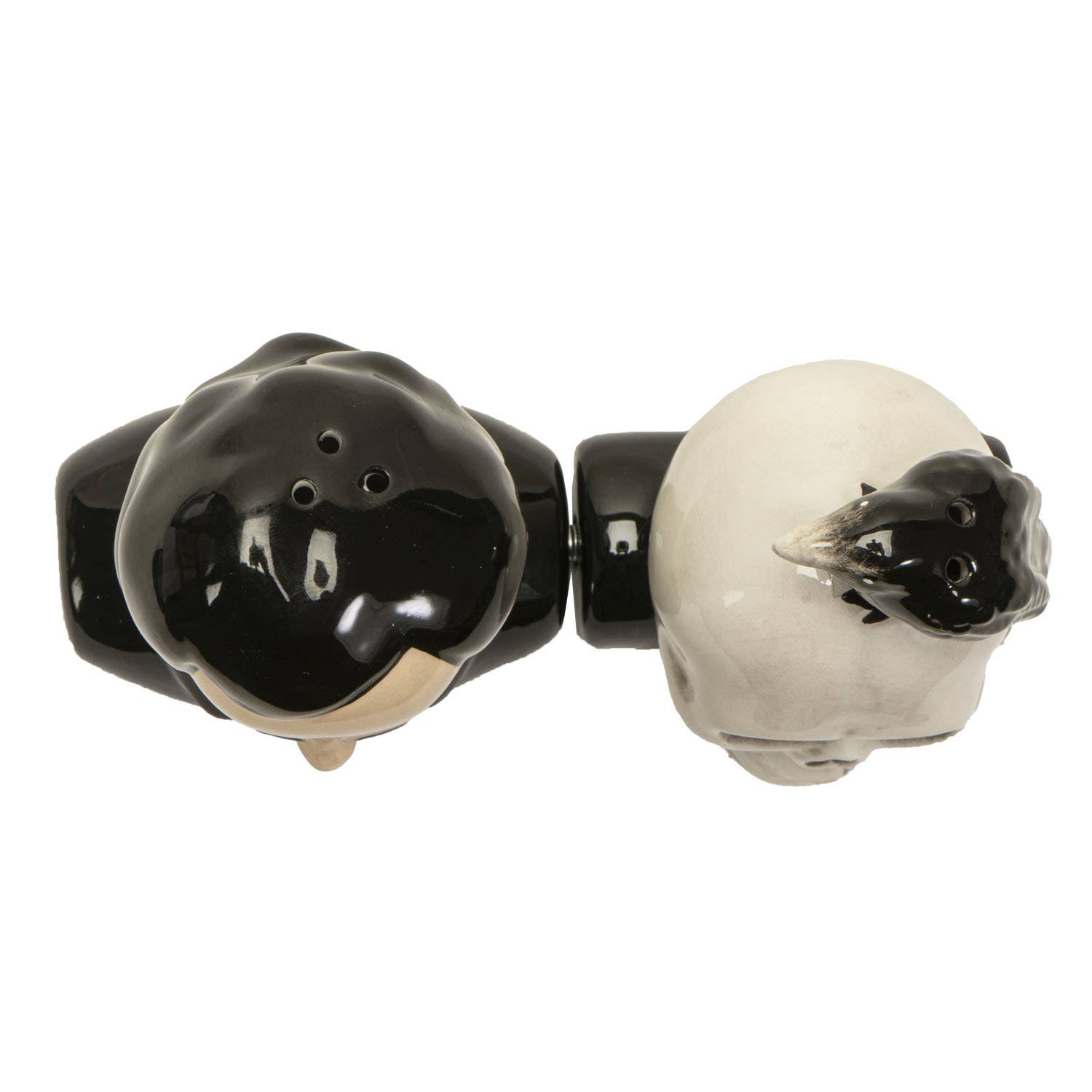 Edgar Allen Poe Ceramic Salt & Pepper Shaker Set Kitchenware - Gothic & Alternative Gift - Haunted