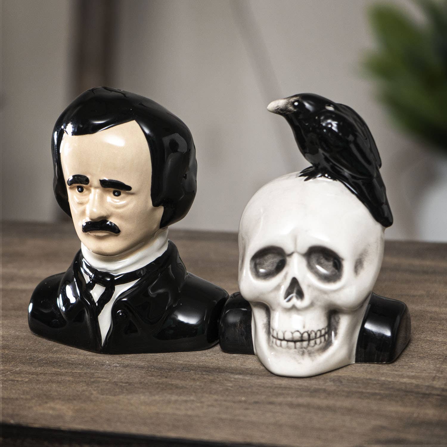 Edgar Allen Poe Ceramic Salt & Pepper Shaker Set Kitchenware - Gothic & Alternative Gift - Haunted