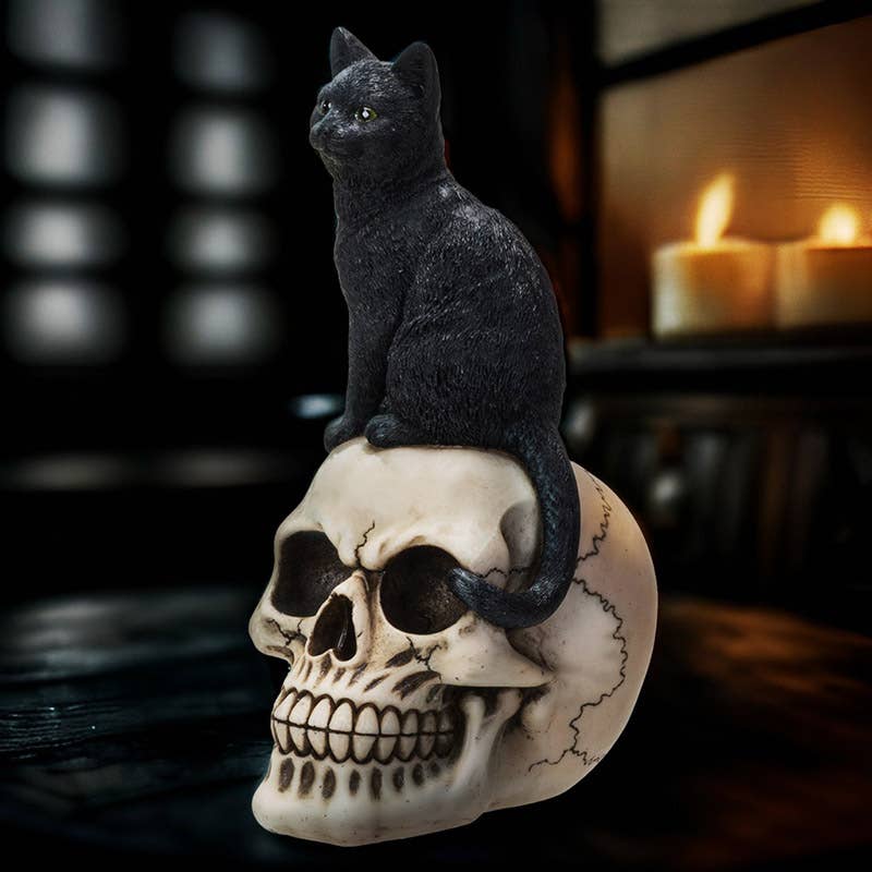 Black Cat on Skull Statue Figurine
