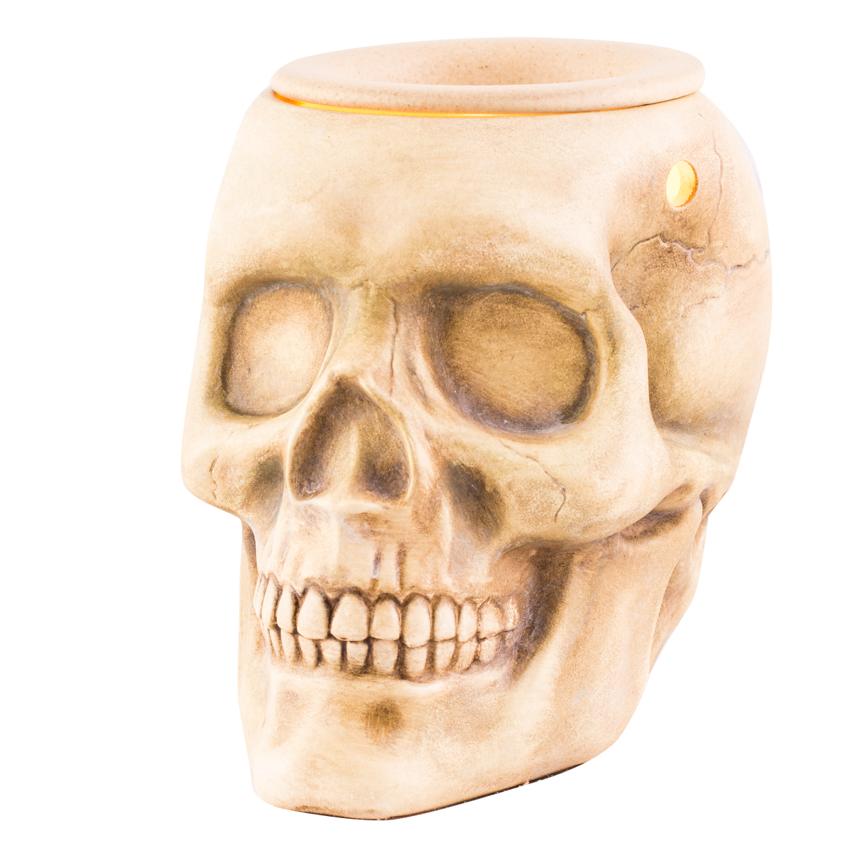 Skull Halloween Ceramic Electric Wax Melt Warmer