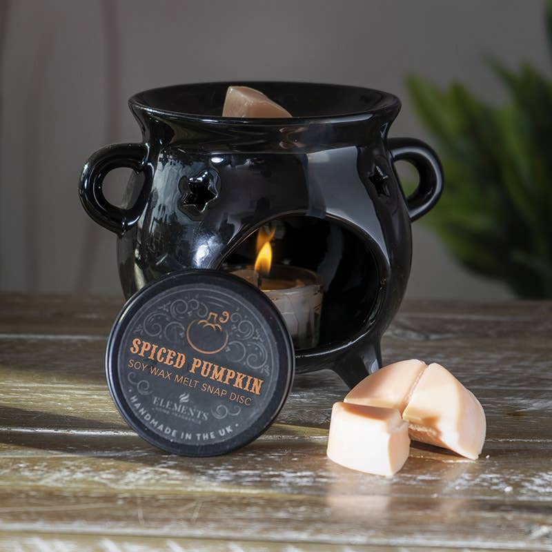 Pumpkin Spice Eco Soy Wax Melts