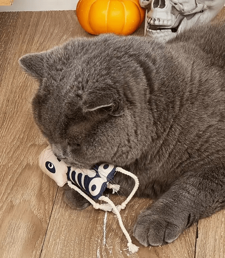 Floppy Skeleton Cat Toy Pet - Gothic & Alternative Gift - Haunted