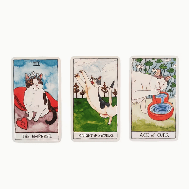 Fun with Cats Cute Tarot Card Deck Witch Supplies - Gothic & Alternative Gift - Haunted