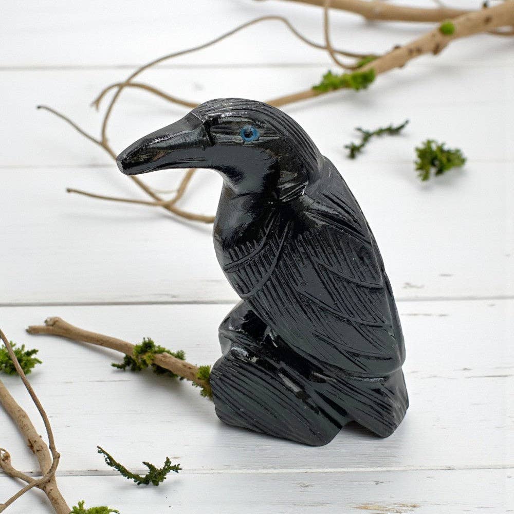 Large Black Onyx Crystal Raven Crystal - Gothic & Alternative Gift - Haunted