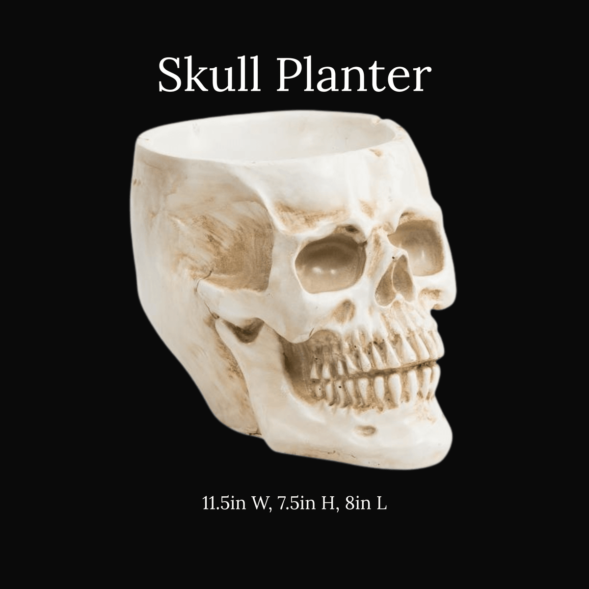 Large Bone Colored Skull Planter Vase Flower Pot Home Decor - Gothic & Alternative Gift - Haunted