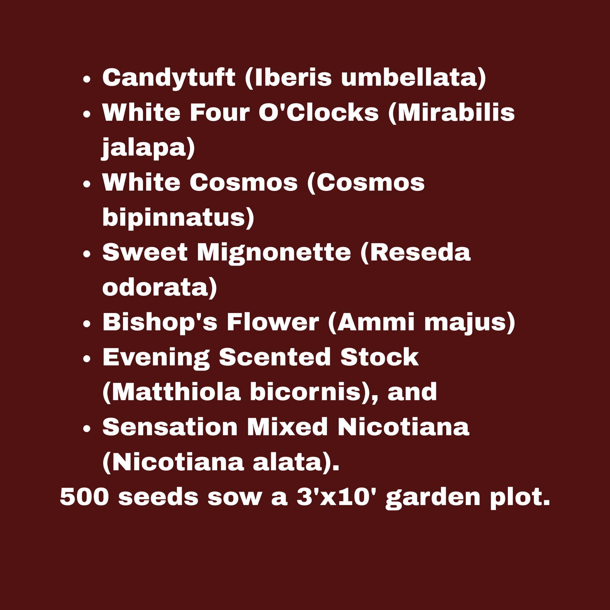 Midnight Garden Mix Seeds Pack Garden Decor - Gothic & Alternative Gift - Haunted