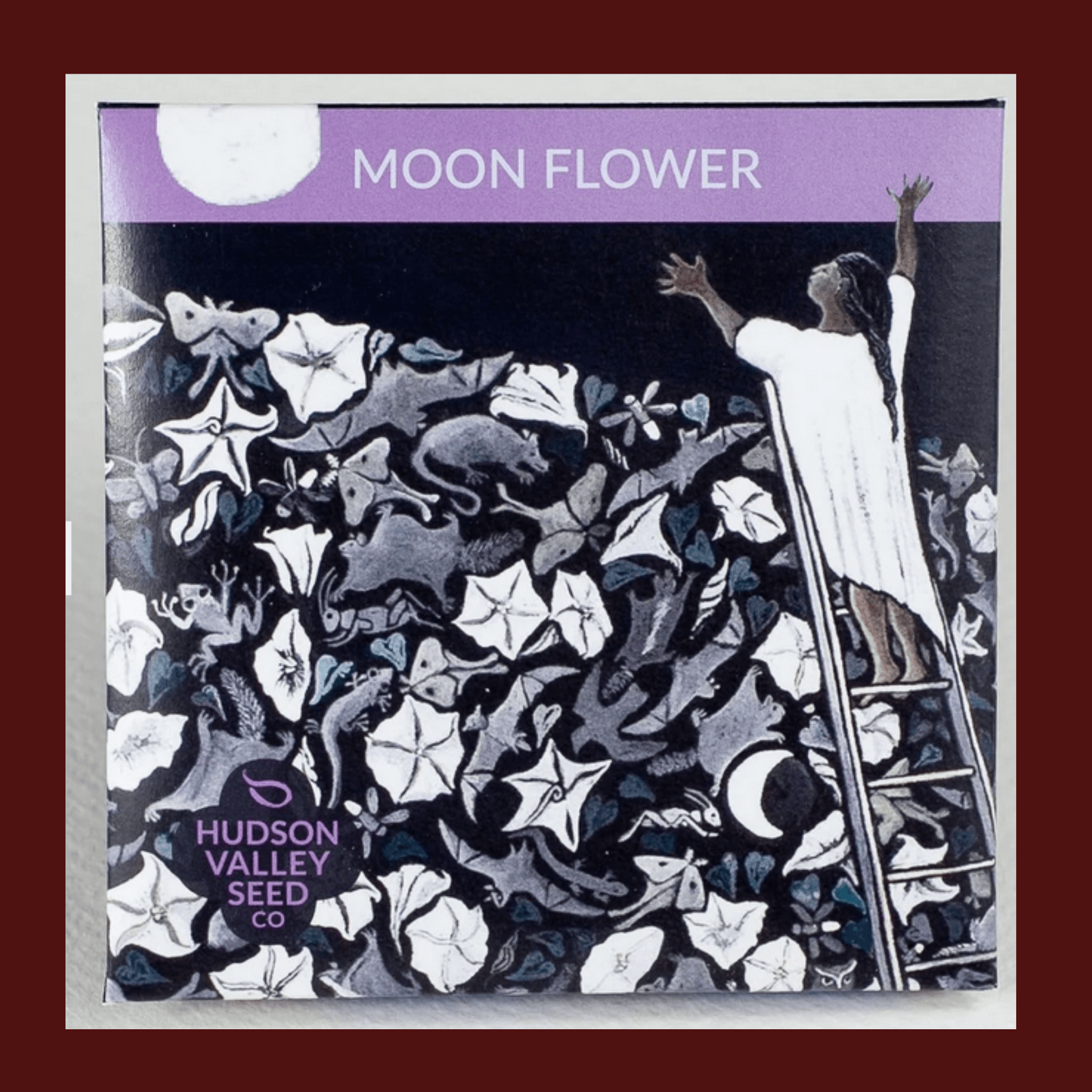 Moon Flower Seeds Pack Garden Decor - Gothic & Alternative Gift - Haunted