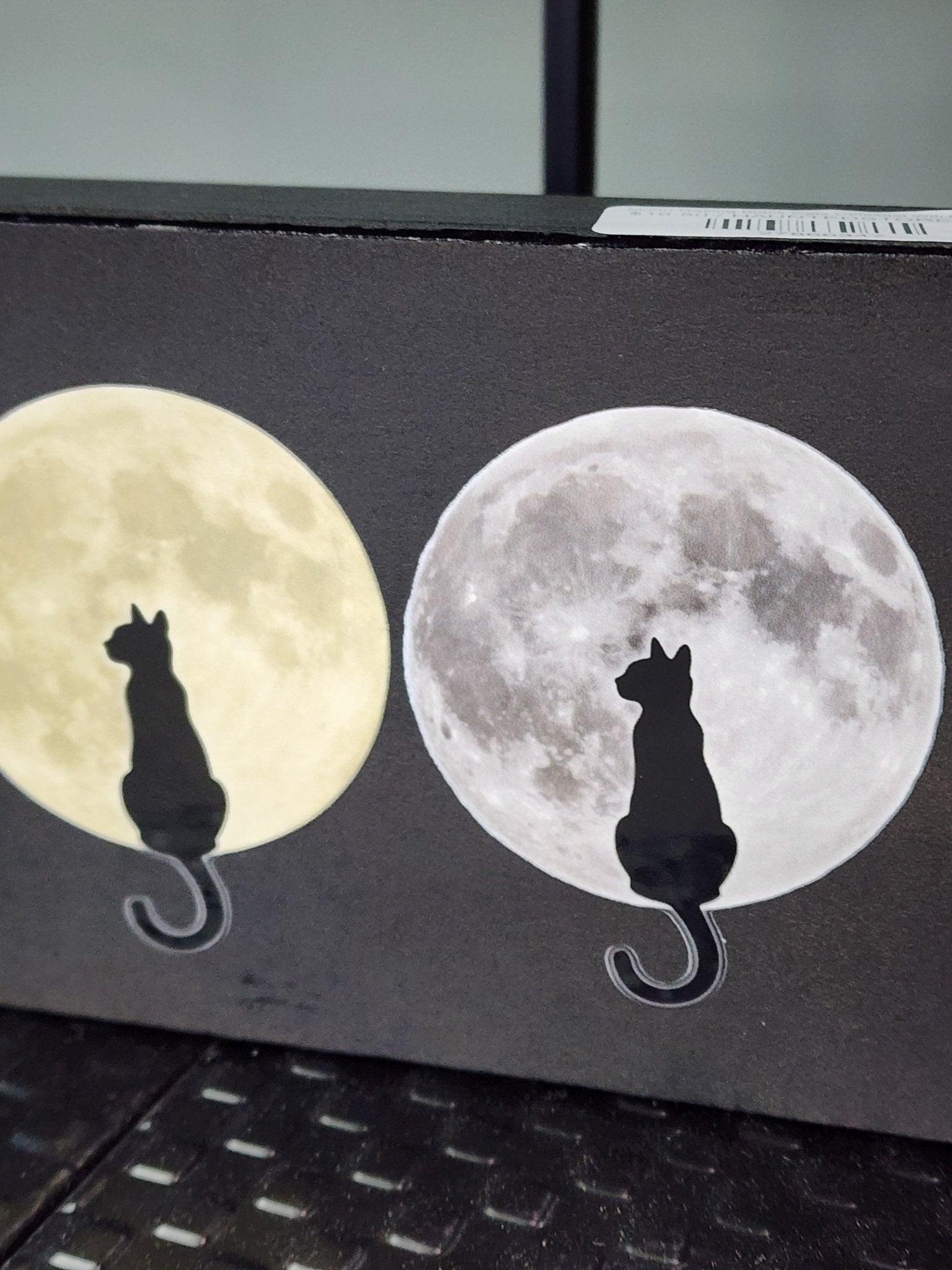 Moon Gazing Black Cats Celestial Witch Magic Wall Hanging - Gothic & Alternative Gift - Haunted