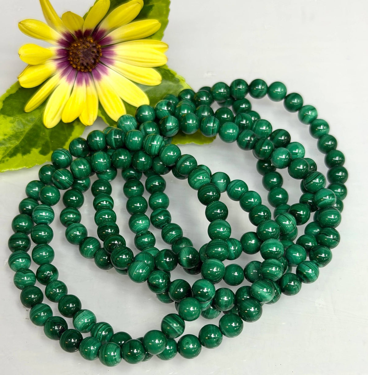 Natural Malachite 6mm Crystal Healing Stretch Bracelet, Gemstone Jewelry Crystals - Gothic & Alternative Gift - Haunted