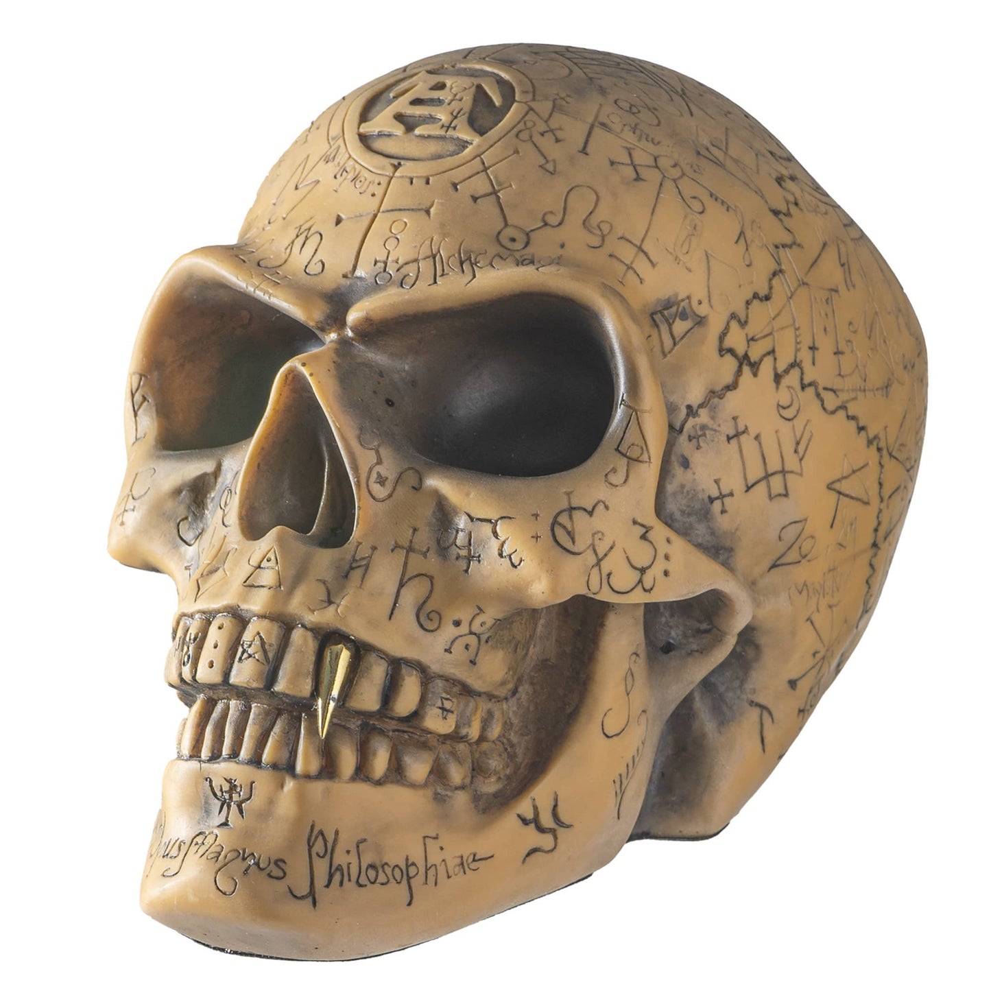 Omega Skull Statue Rune Viking Nordic Statues - Gothic & Alternative Gift - Haunted