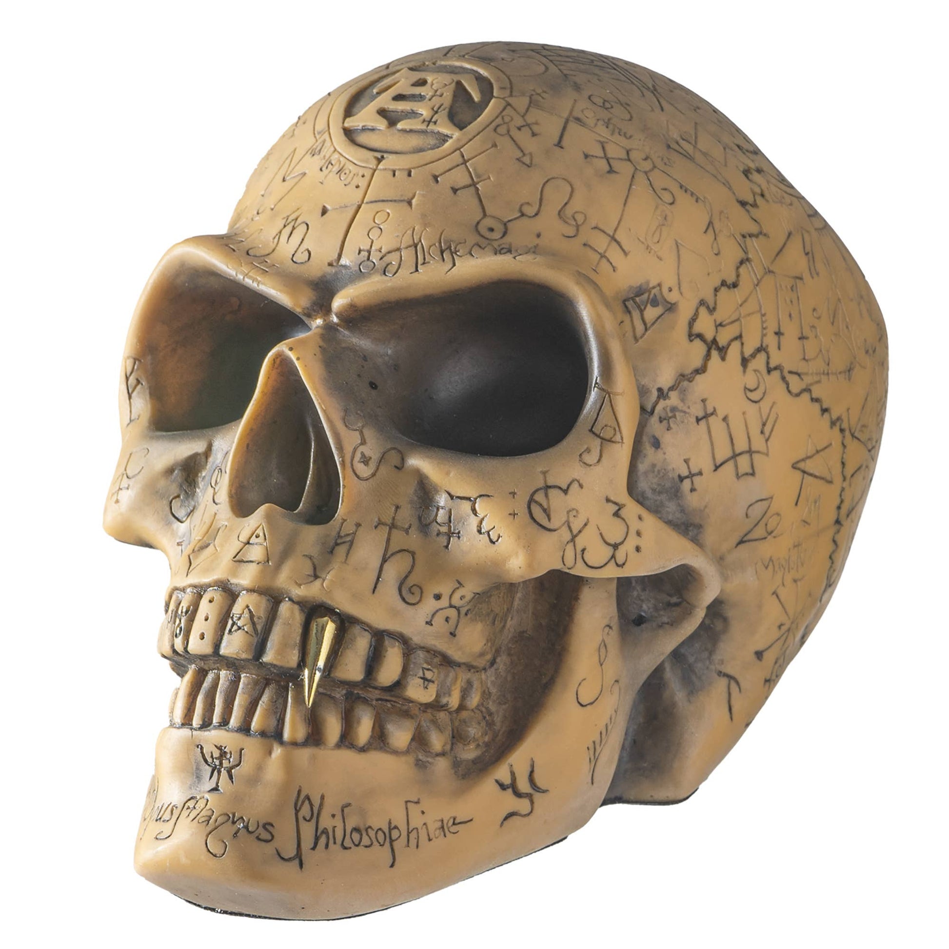 Omega Skull Statue Rune Viking Nordic Statues - Gothic & Alternative Gift - Haunted