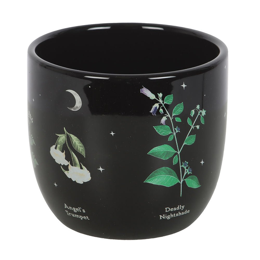 Poisonous Plants Plant Pot Deadly Nightshade Home décor - Gothic & Alternative Gift - Haunted