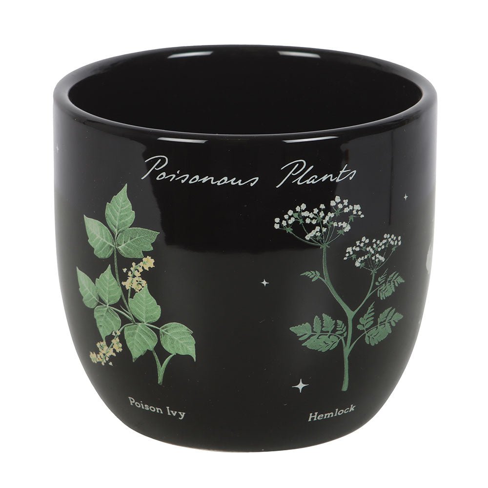 Poisonous Plants Plant Pot Deadly Nightshade Home décor - Gothic & Alternative Gift - Haunted