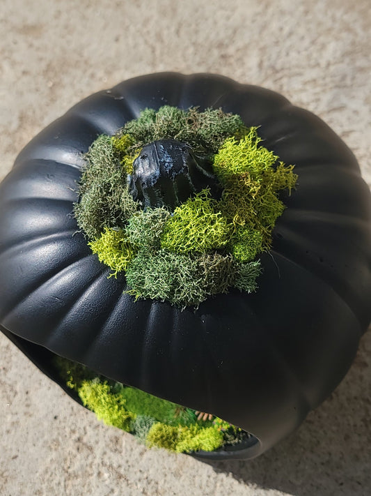 Pumpkin Graveyard terrarium Lantern Lantern - Gothic & Alternative Gift - Haunted