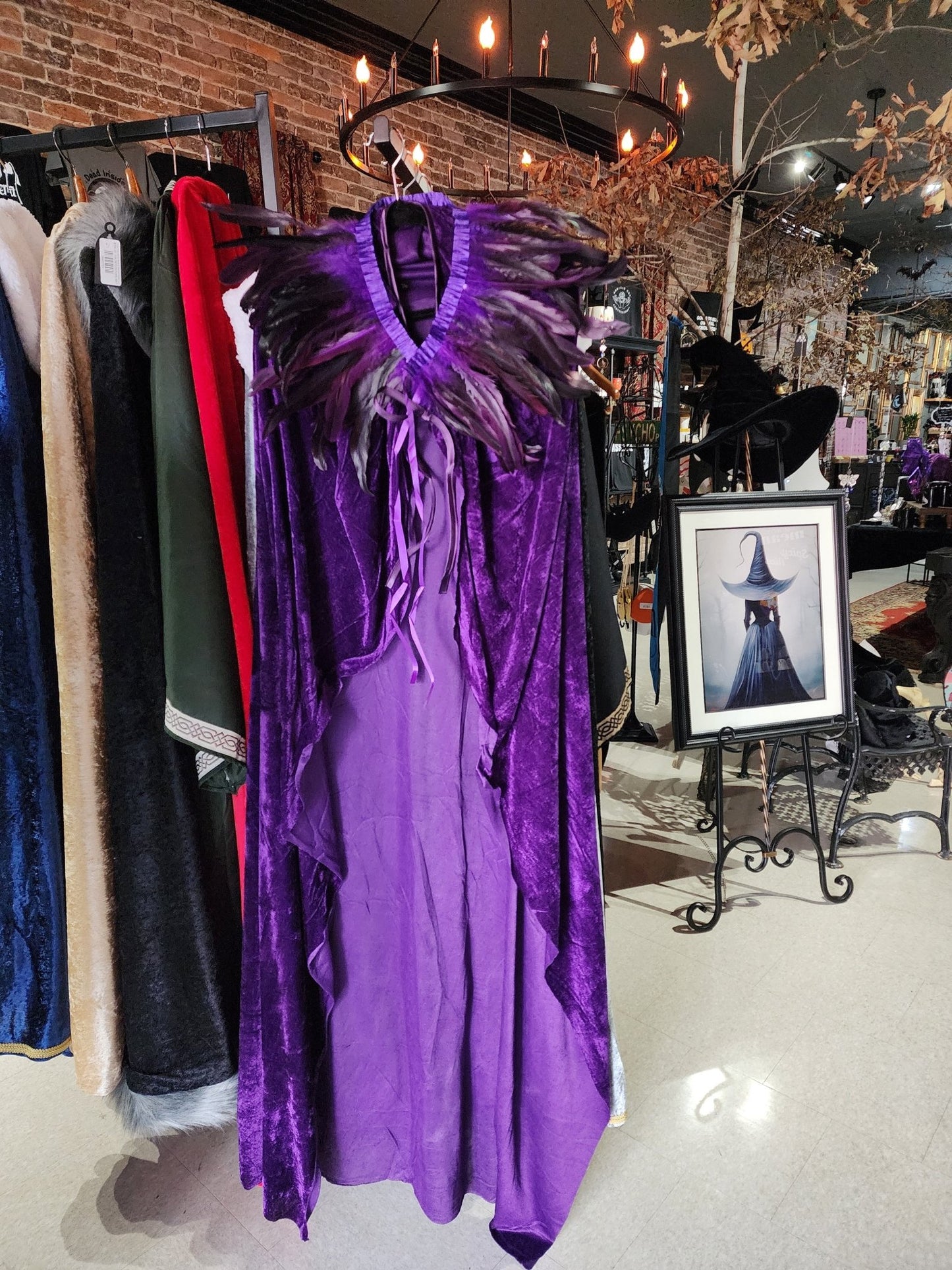 Purple Velvet Cloak with Feather Shaw Costumes - Gothic & Alternative Gift - Haunted