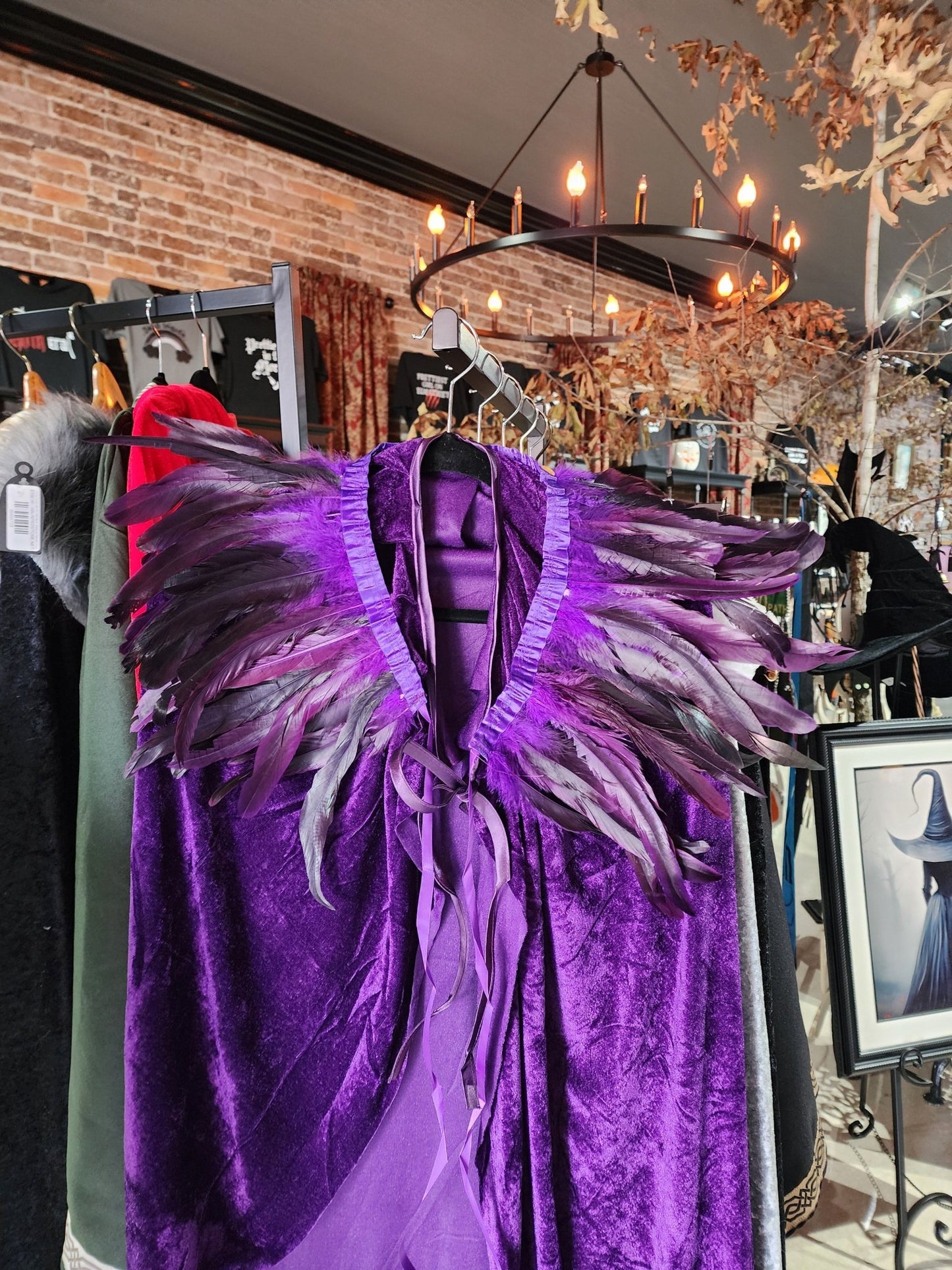 Purple Velvet Cloak with Feather Shaw Costumes - Gothic & Alternative Gift - Haunted