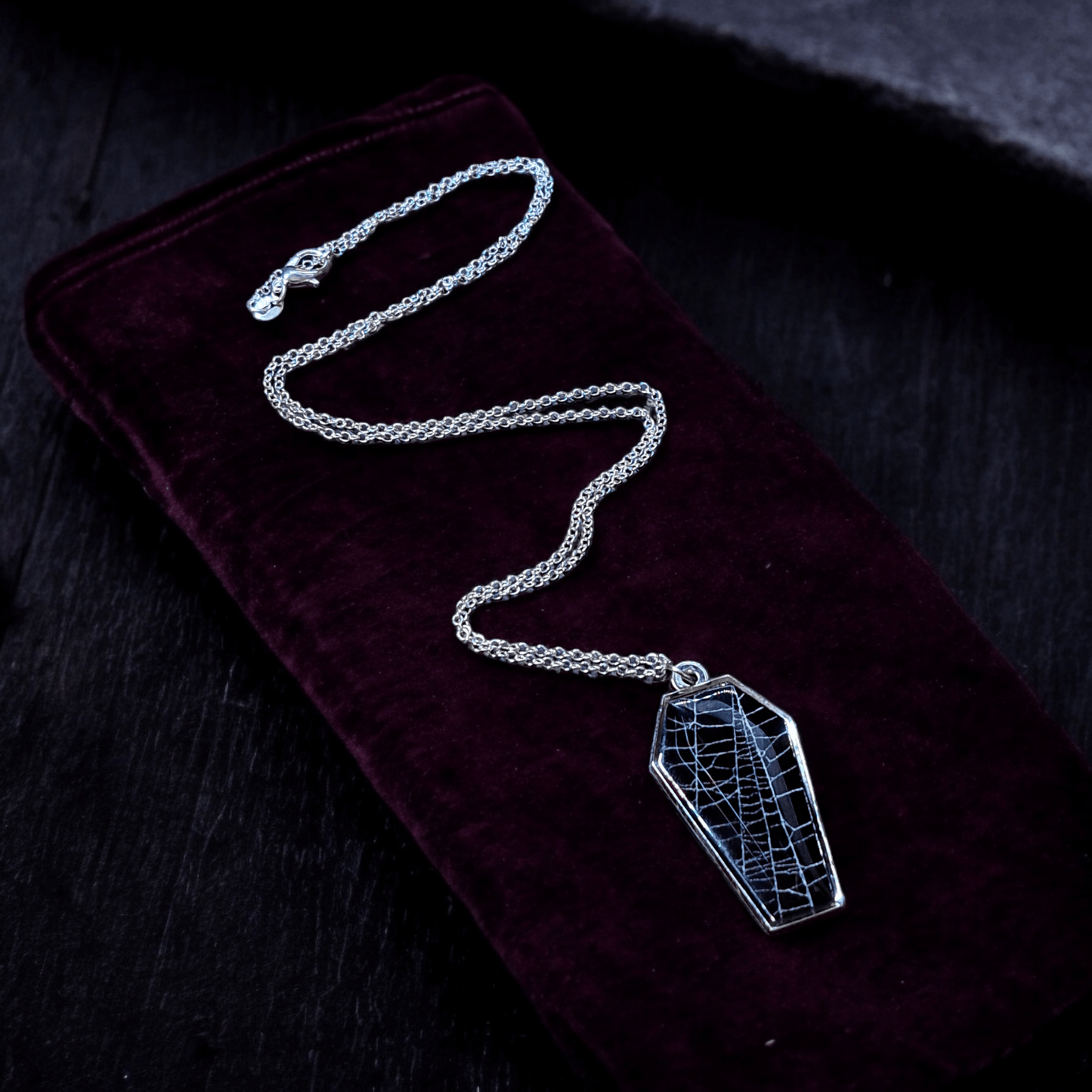 Real Spiderweb Coffin Necklace Jewelry - Gothic & Alternative Gift - Haunted