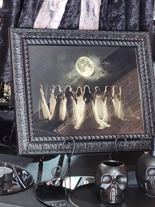 Witch Coven in Moonlight Framed Print