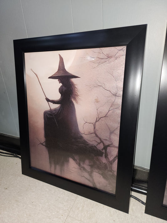 Sitting Shadowy Enchanted Witch Forest Framed Canvas Print