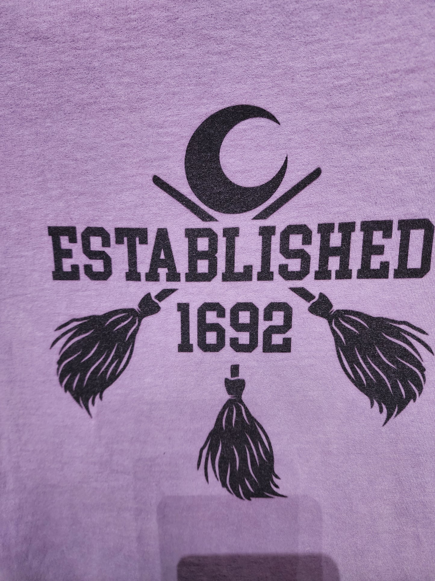 Purple Ombre Established 1692 Witchy Gothic T-Shirt