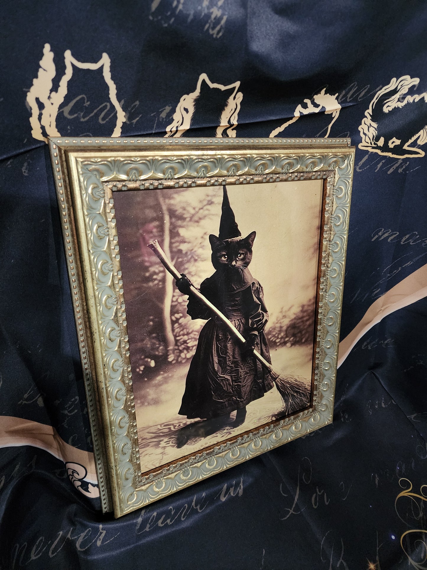 The Witch's familiar Black cat framed print