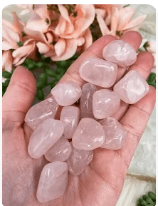Rose Quartz Crystal Hand Stone Crystals - Gothic & Alternative Gift - Haunted