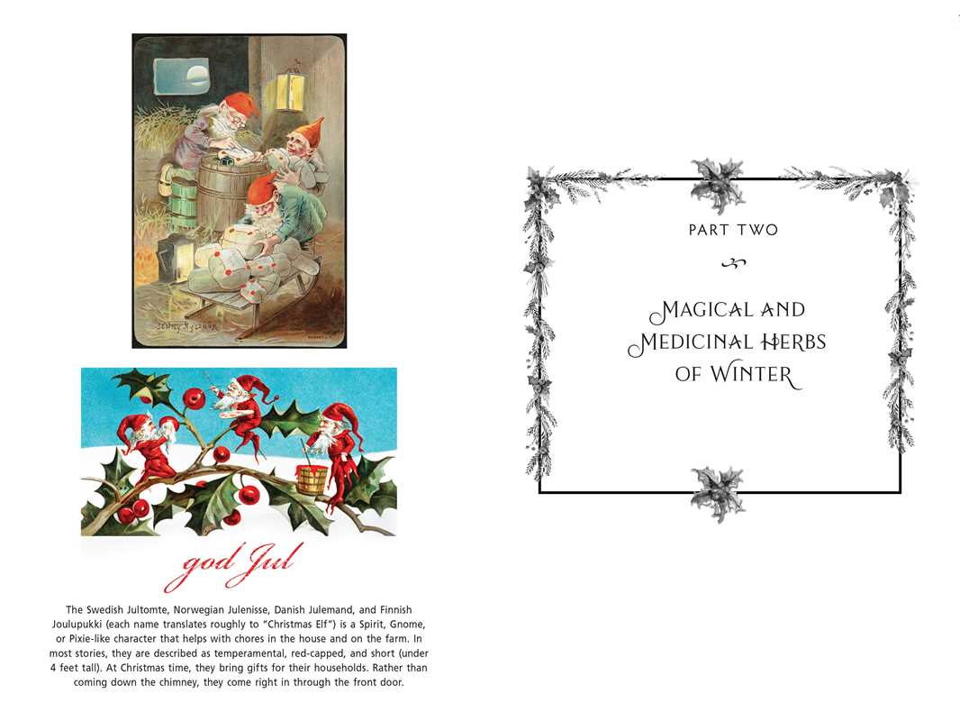 Sacred Herbs of Yule and Christmas by Ellen Evert Hopman: Paperback; 344 pages / English - Gothic & Alternative Gift - Haunted