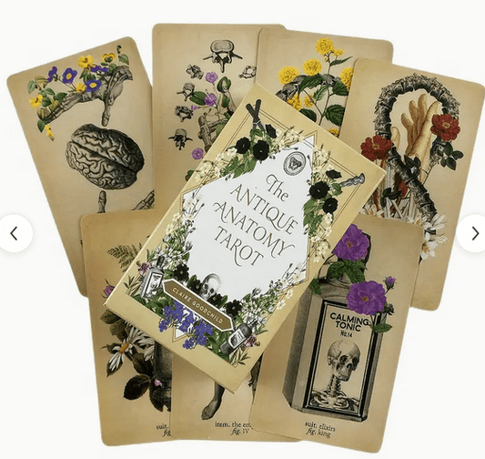 The Antique Anatomy Tarot Card Deck Witch Supplies - Gothic & Alternative Gift - Haunted