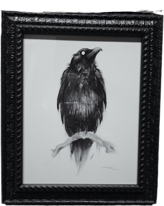 The Crone's Seer: 11x14 Framed Raven Print Original Artwork - Gothic & Alternative Gift - Haunted