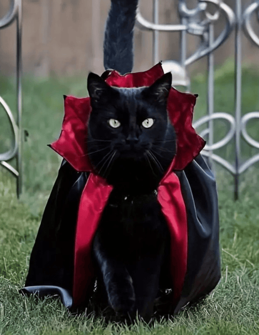 Vampire pets Costume cape Costumes - Gothic & Alternative Gift - Haunted