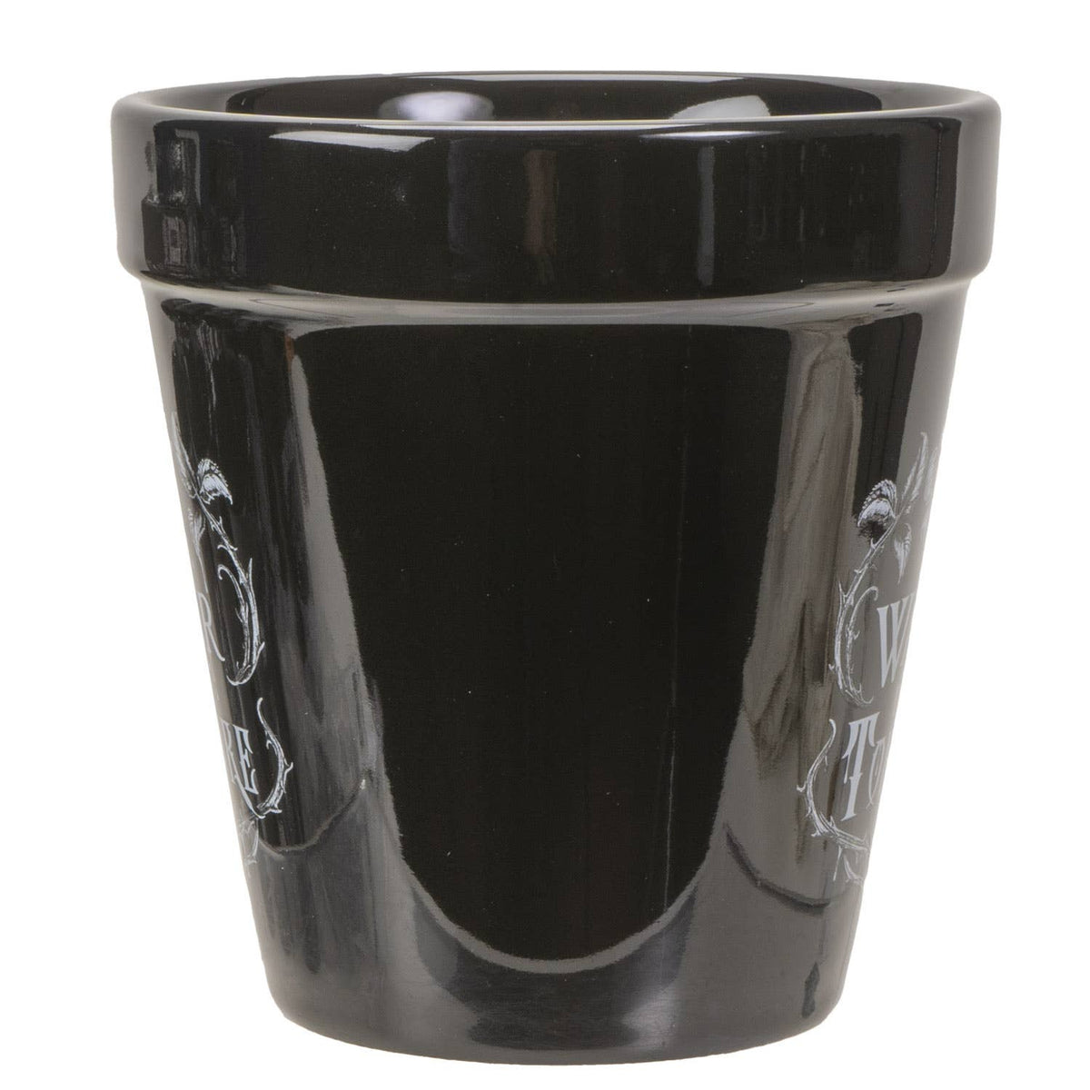 Water Don't Torture Garden Plant Pot Garden Decor - Gothic & Alternative Gift - Haunted