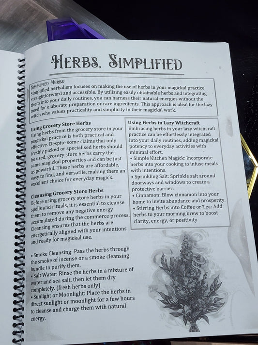 Witchcraft-Quick Guide-Lazy Workbook Witch Supplies - Gothic & Alternative Gift - Haunted