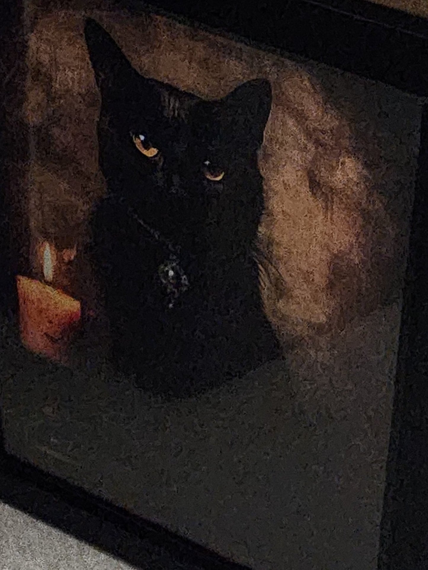 Witch's Familiar Black Cat Framed Print Halloween Gothic Victorian Wall Hanging - Gothic & Alternative Gift - Haunted