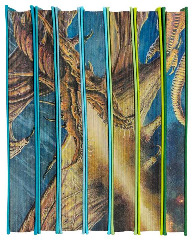 World of Tolkien Seven-Book Boxed Set by David Day: Flexibound; 1792 pages / English - Gothic & Alternative Gift - Haunted